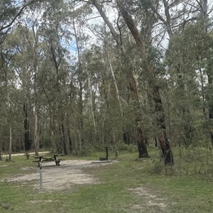 Native Dog Creek Rest Area