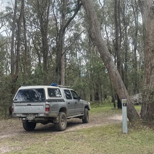 Native Dog Creek Rest Area