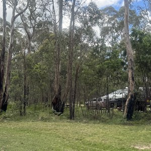 Native Dog Creek Rest Area