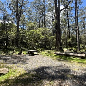 Thungutti Campground