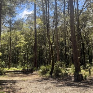 Thungutti Campground