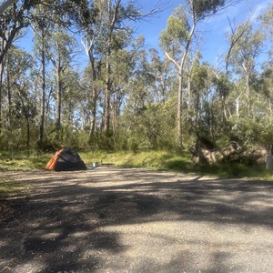 Wollomombi Campground