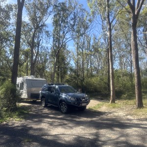 Wollomombi Campground