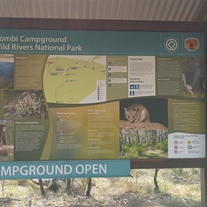 Wollomombi Campground