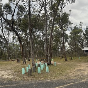 Dangars Falls and Gorge Campground