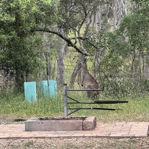 Dangars Falls and Gorge Campground