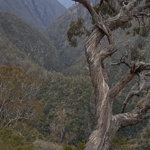 Tia Falls Campground