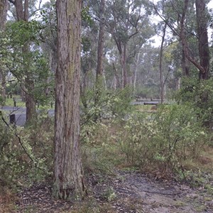 Apsley Gorge Campground