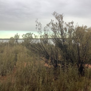 Rowles Lagoon Nature Reserve 