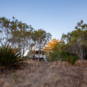 Bush camping