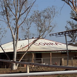 Cobra Bangemall Inn