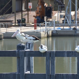 Lock 9