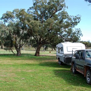 Melrose Showground