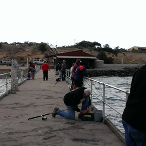 Squidding from the jetty