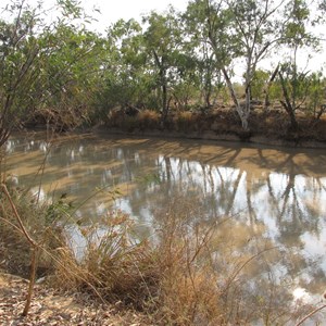 Muddy waterhole
