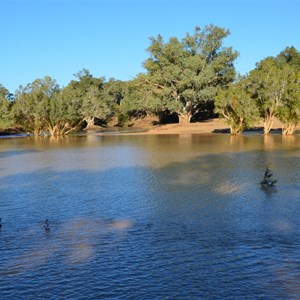 Cooper's Creek Campsite - Windorah