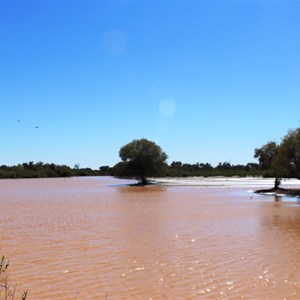 Eyre Creek