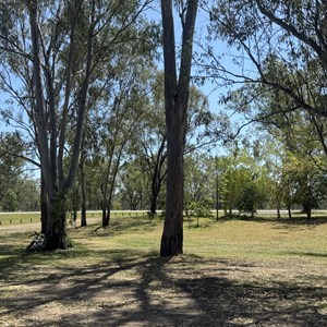 Dawson River Rest Area