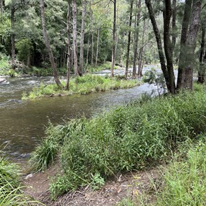 Gloryvale Reserve