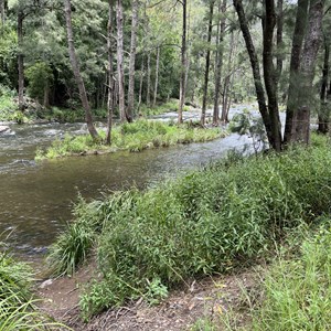 Gloryvale Reserve