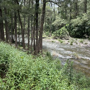 Gloryvale Reserve