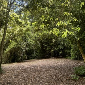 Gloucester River Campground