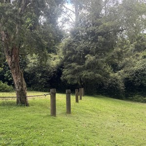 Gloucester River Campground