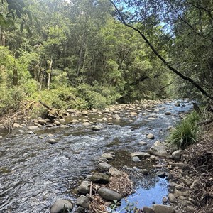 Gloucester River Campground