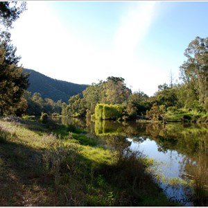 Gwydir River camps