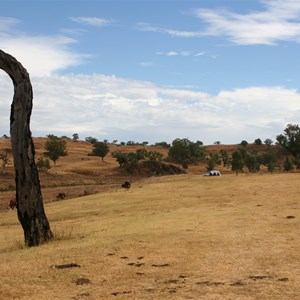 Glen Riddle Reserve