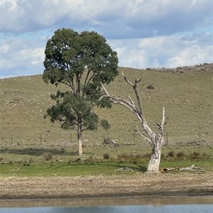 Glen Riddle Recreation Reserve