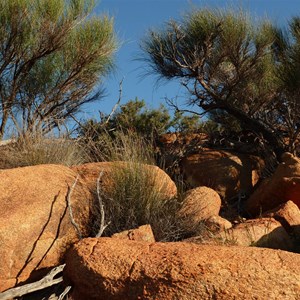 View of Baladjie Rock
