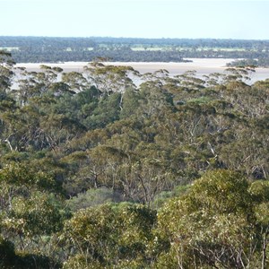 View from Rock