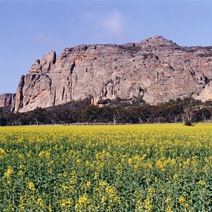 Mt Arapiles