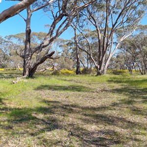 Jane Duff Highway Park