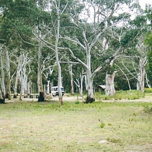 Langi Ghiran camp