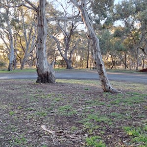 Burnt Creek Rest Area