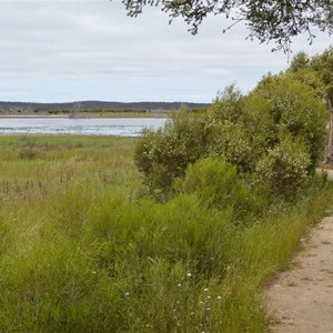 Murrays Lagoon