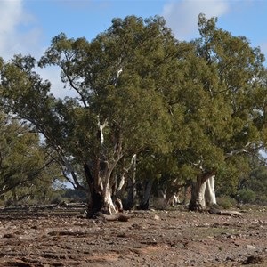 Moralana Creek