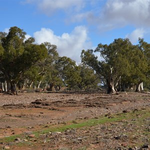 Moralana Creek