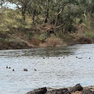 Peake Creek Crossing