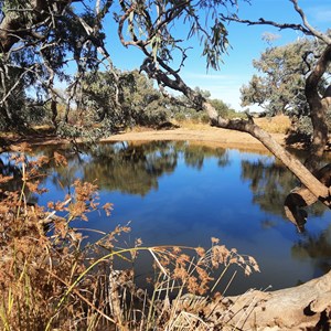 Hookeys Waterhole