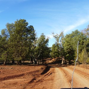 Delightful scenery on the track into the Homestead