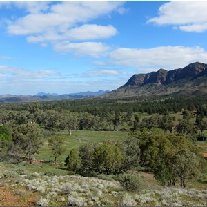 Looking south down the Aroona Valley