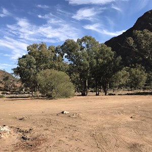 Parachilna Gorge Campsites