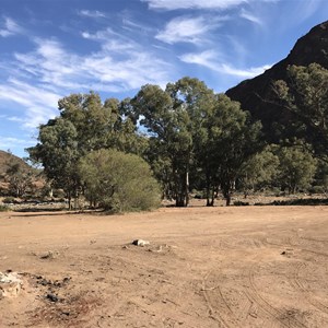 Parachilna Gorge Campsites