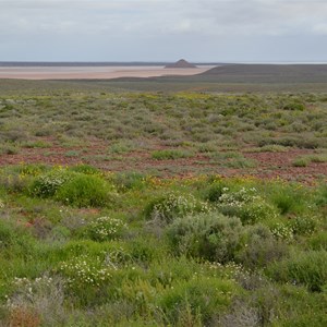 Island Lagoon Lookout 