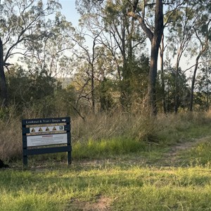 Kinbombi Falls Camp