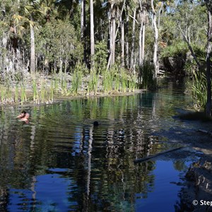 Bitter Springs 