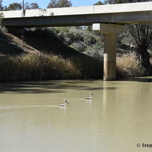 Brewarrina Rest Area